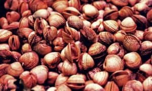 Gastronomía en España: platos, productos y sabores por regiones