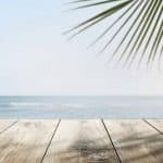 verano vacaciones