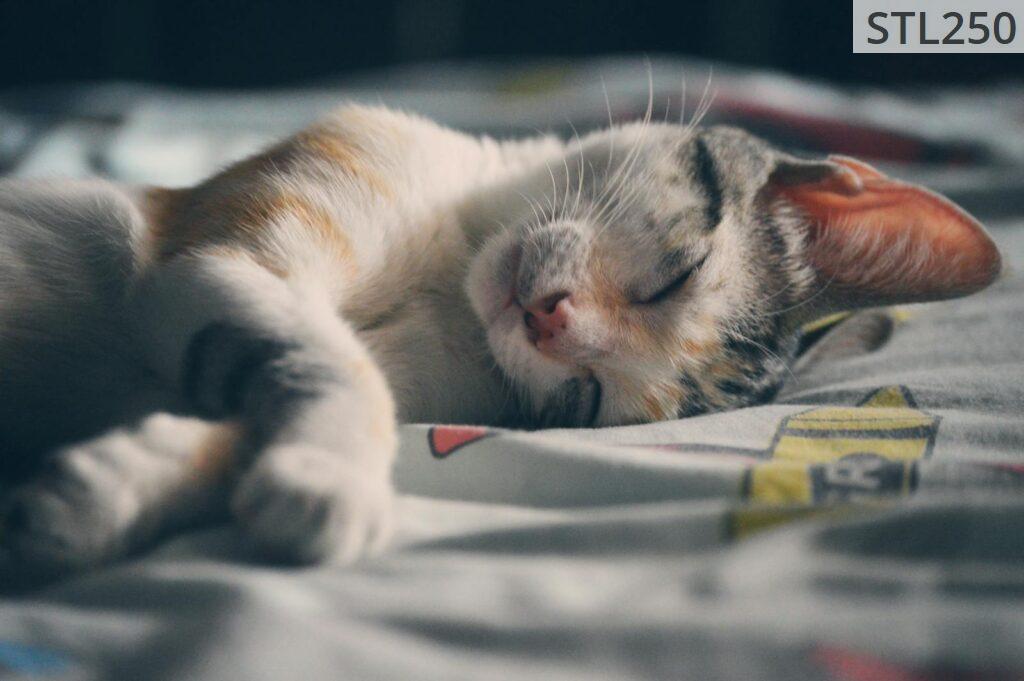 durmiendo