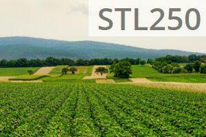 Agricultura sostenible: cómo alimentar al mundo sin destruir el planeta