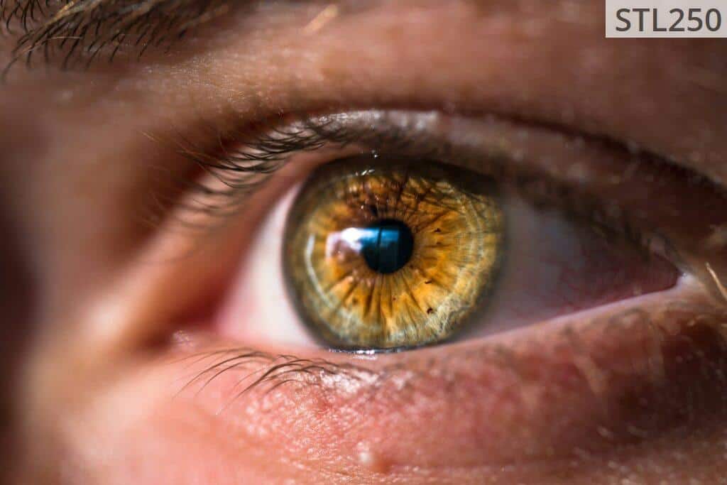 close-up photo of human eye