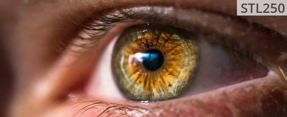 close-up photo of human eye