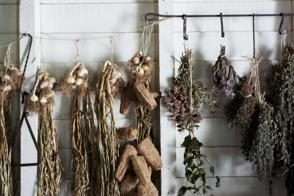 Hierbas aromáticas en la cocina
