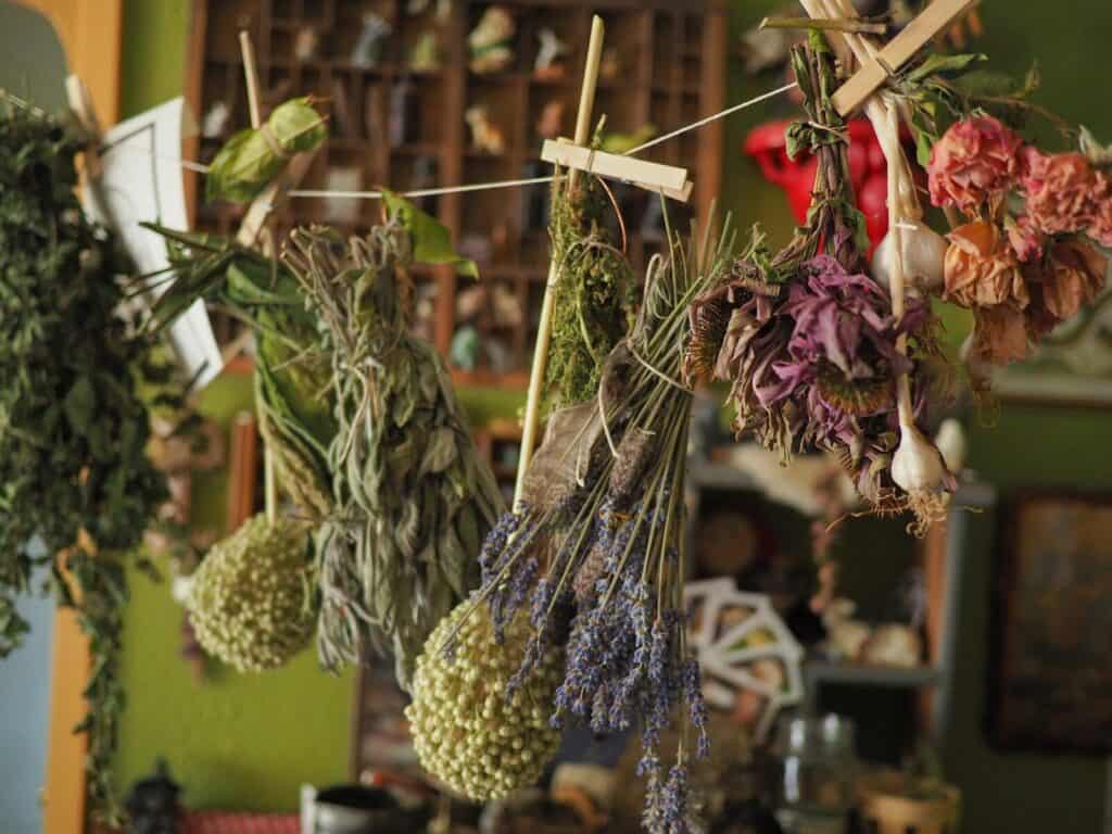 Hierbas aromáticas en la cocina: cuáles usar con cada plato
