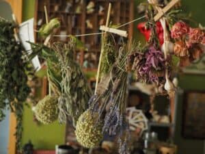 Hierbas aromáticas en la cocina: cuáles usar con cada plato