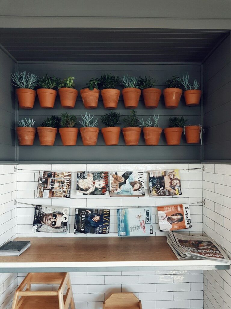 Estantería con revistas y plantas en una redacción